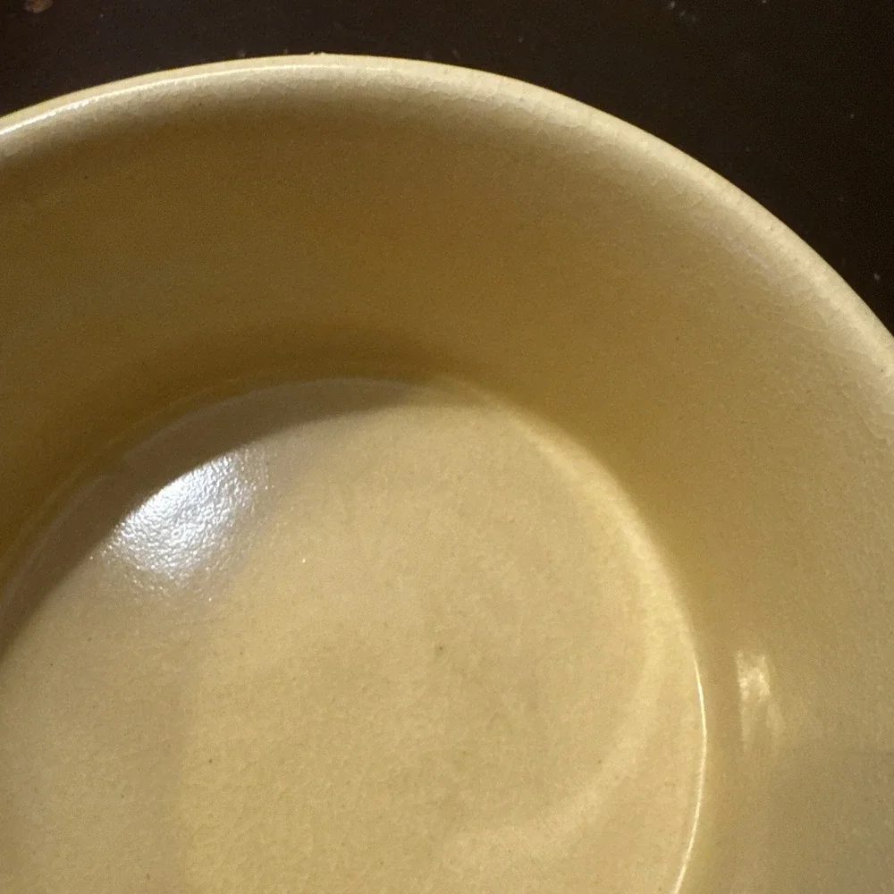 Vintage RRP‎ Roseville Pottery Dog Bowl 5 1/2